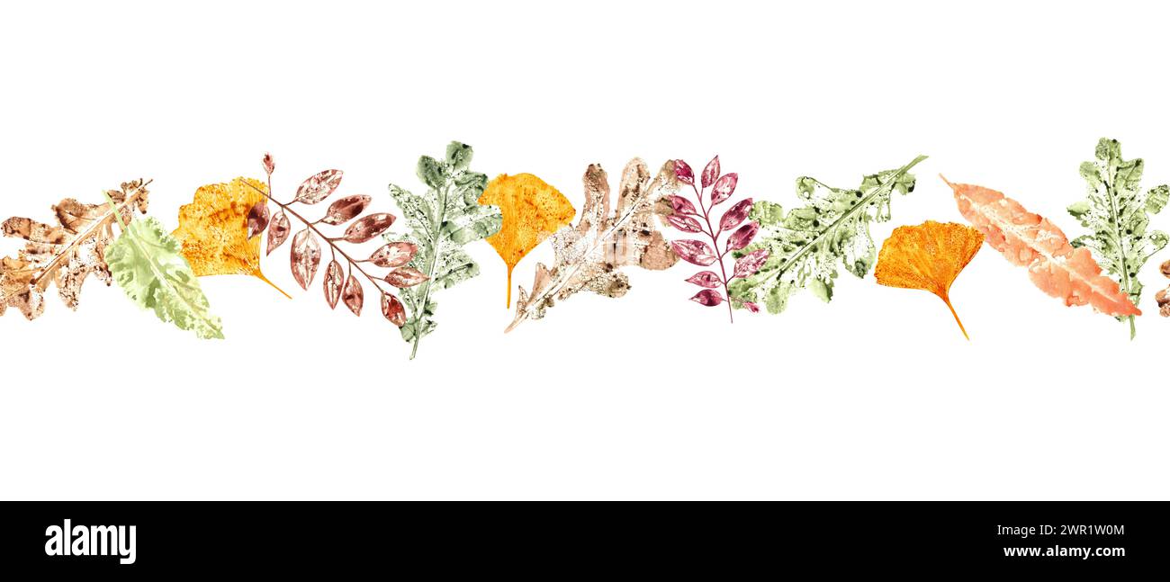 Nahtloser Rand mit Herbstblattaufdruck. Zarte goldene Biloba, mehrfarbige Eiche, rowan-Blätter. Ginkgo, trockene abstrakte Blätter. Stockfoto