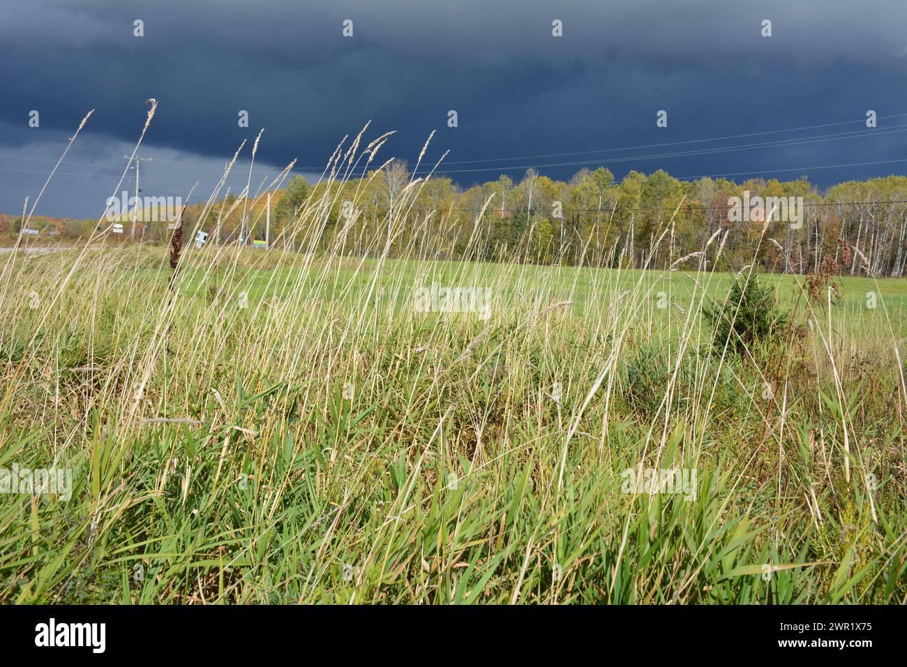 Entferntes weißes Bauernhaus, das sich in Wasser auf der Einfahrt vor dem Sturm spiegelt Stockfoto