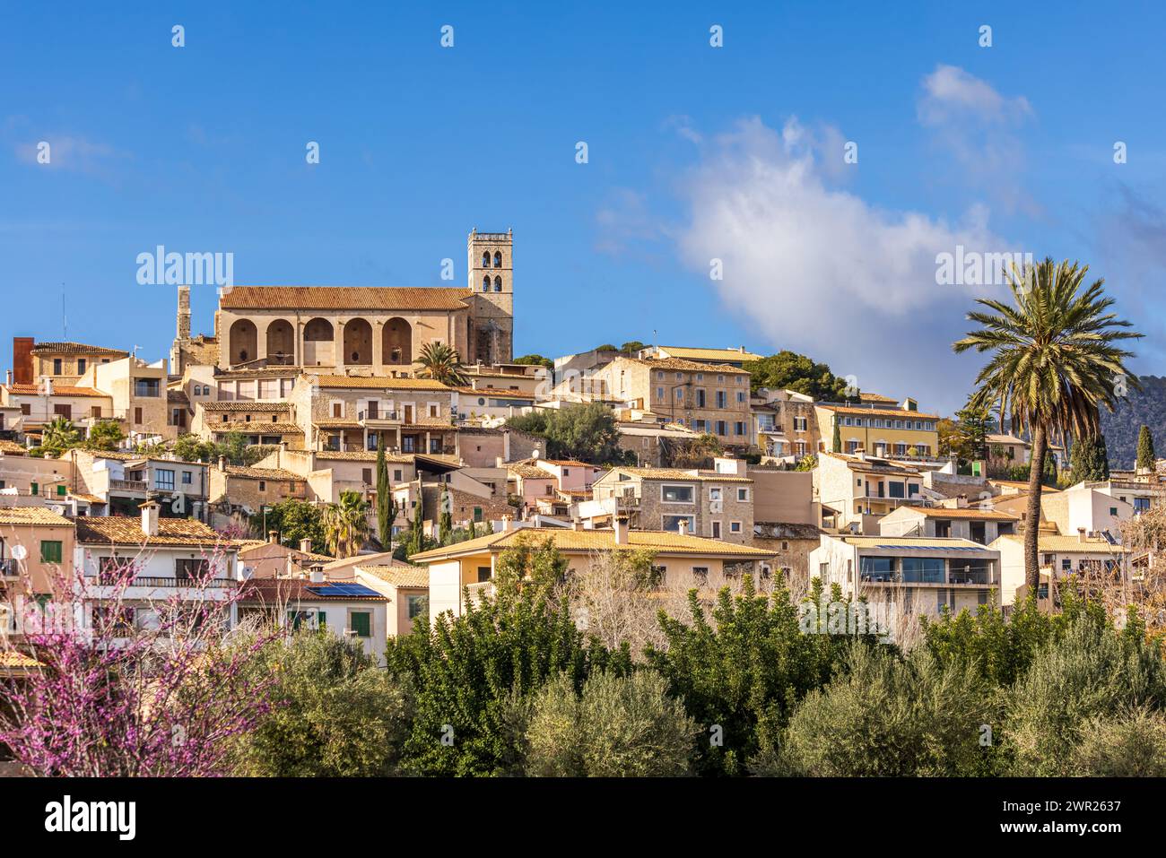 Villagescape von Selva mit gotisch-katholischer Pfarrkirche Església de Sant Llorenc, Mallorca, Balearen, Spanien, Europa Stockfoto