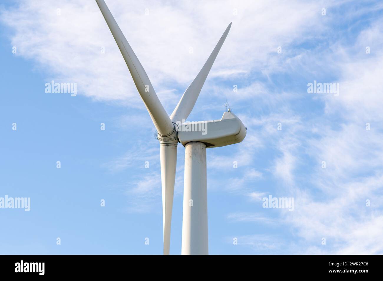 Windmühlenfarm zwischen Feldern und kleinen Bäumen. Europäische Umweltinitiative. Erhaltung von Energie und fossilen Ressourcen. Kein Ökologischer Fußabdruck Stockfoto