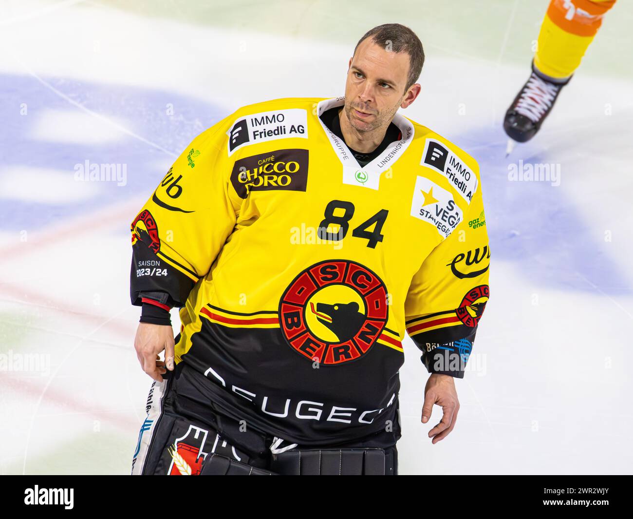 EHC Kloten - SC Bern, Stimo Arena, National League NL, reguläre Saison: #84 Daniel Manzato, Torhüter SC Bern. (Kloten, Schweiz, 23.12.2023) Stockfoto