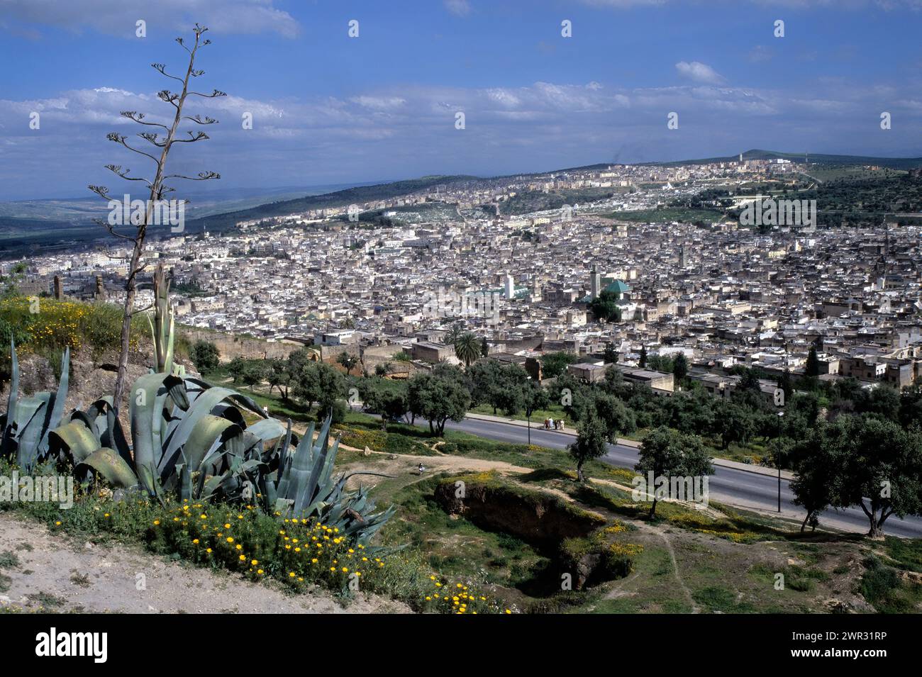 Fès, Marokko - Fès El-Bali aus den Merinidengräbern. Stockfoto