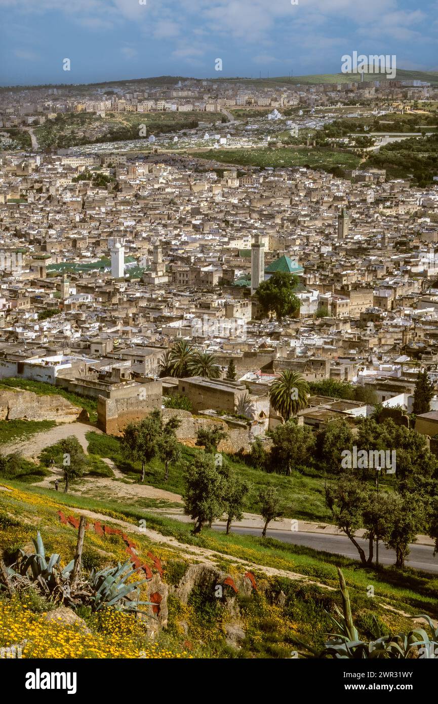 Fes, Marokko - Karaouiyine (Kairouyine) Moschee, links vom Zentrum; Zawiya von Moulay Idris II, rechts vom Zentrum. Rot gefärbte Tierhäute liegen auf dem Hügel Stockfoto