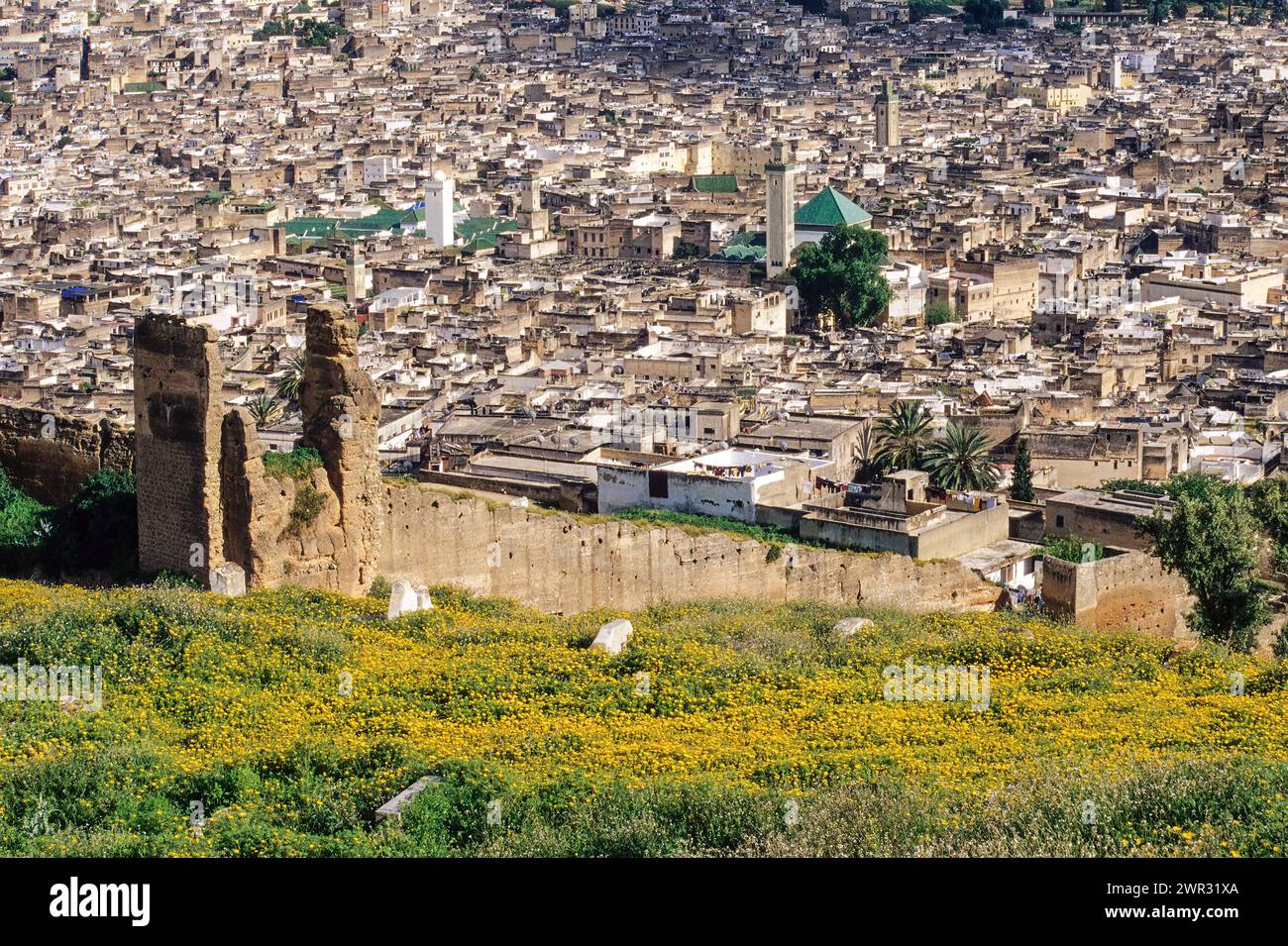 Fes, Marokko - Zawiya von Moulay Idris II, rechts vom Zentrum. Kairouyine Moschee, links vom Zentrum. Satellitenschüsseln an Häusern in der Altstadt von Illustra Stockfoto