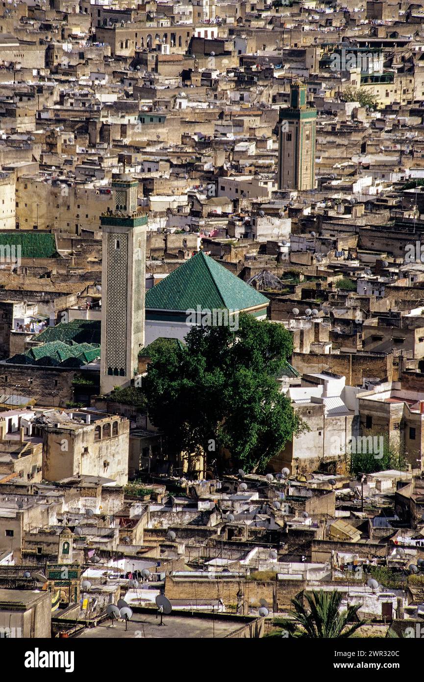Fès, Marokko - Zawiya von Moulay Idris II und Minaret, Fès El-Bali. Satellitenschüsseln veranschaulichen den Übergang zwischen modern und traditionell. Stockfoto