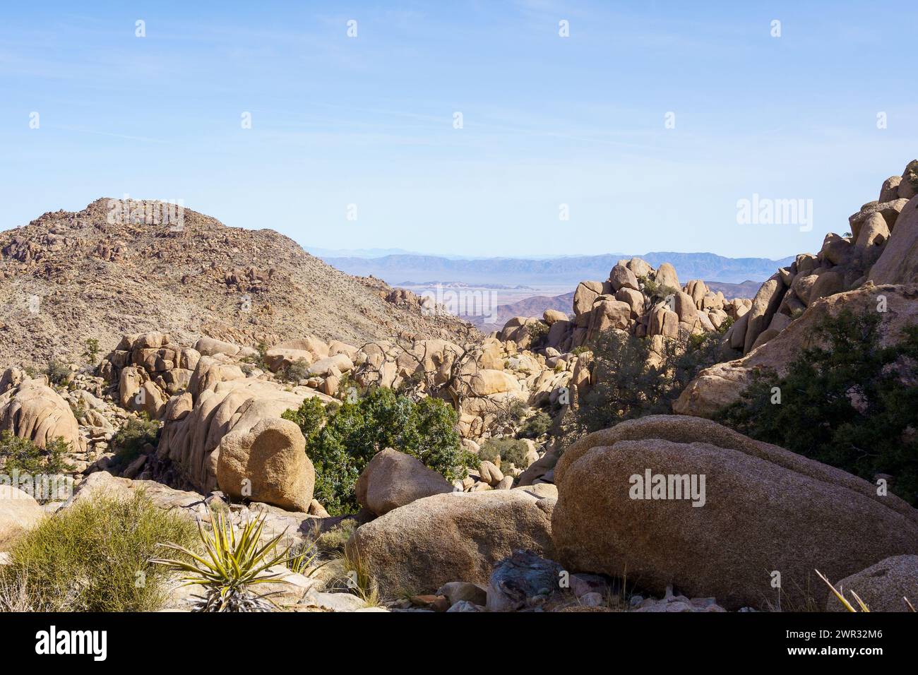 Malerische Aussicht auf Felsbrocken, Kakteen und Berge von der Eagle Cliff Mine Hütte im Joshua Tree National Park, Kalifornien Stockfoto