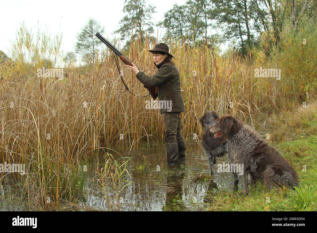 Jägerin steht im Wasser und wartet gespannt auf sich nähernde Enten anlässlich einer Wasserjagd auf Enten, Jagdhunde Cesky Fousek und Stockfoto