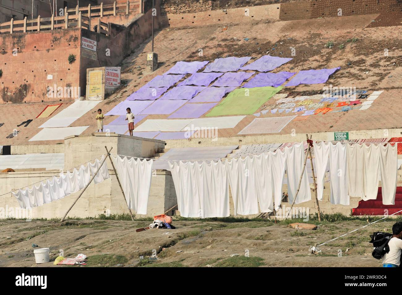 Weiße Blätter trocknen auf einer Waschlinie in der Nähe eines Flussufers, Varanasi, Uttar Pradesh, Indien Stockfoto