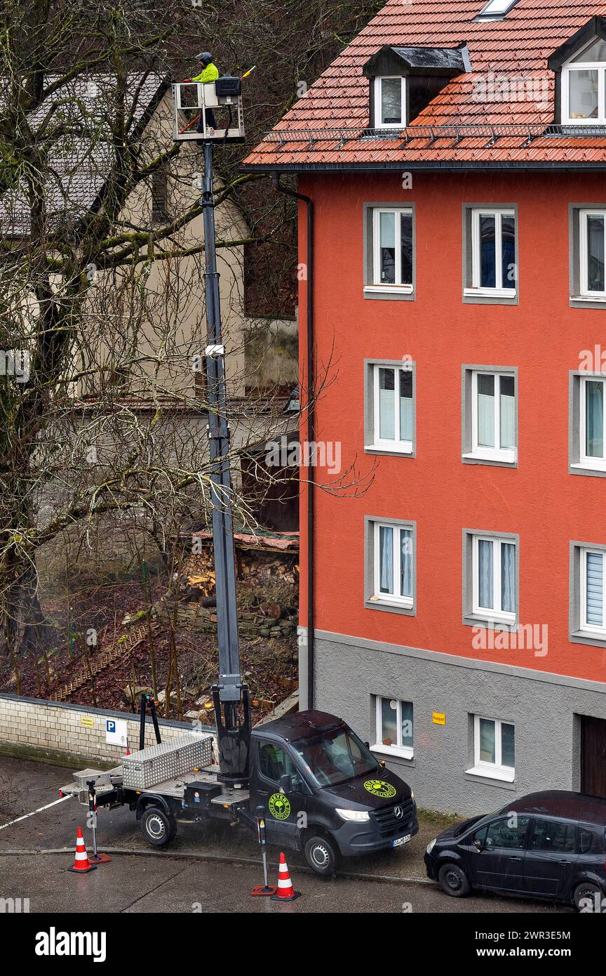 Baumpflege mit Arbeitsplattform, Kempten, Allgaeu, Bayern, Deutschland Stockfoto