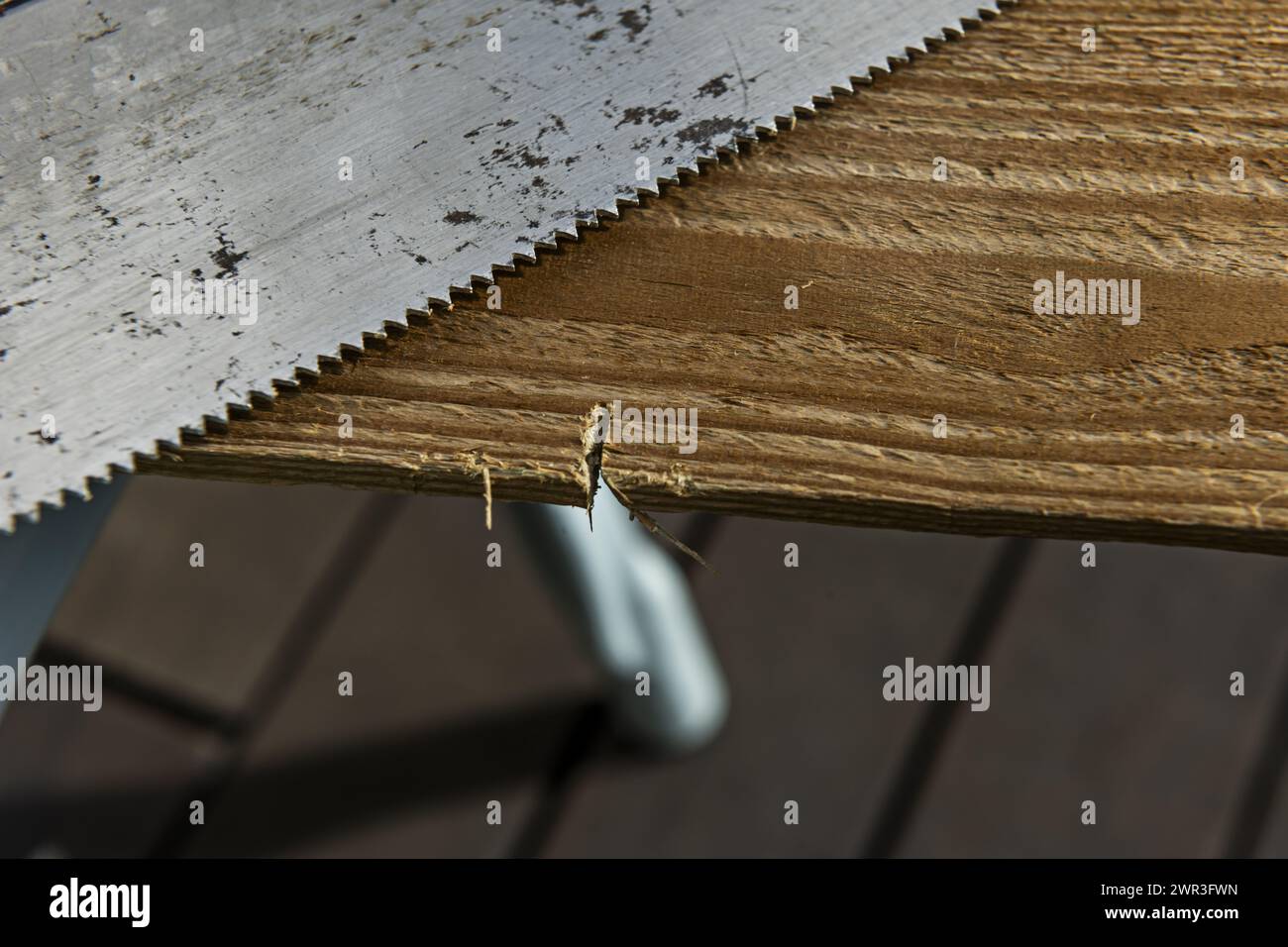 Gezackte Wirbelsäule einer Holzbearbeitung-Handsäge neben einem Stück Holz mit einem geschnittenen Stück Stockfoto