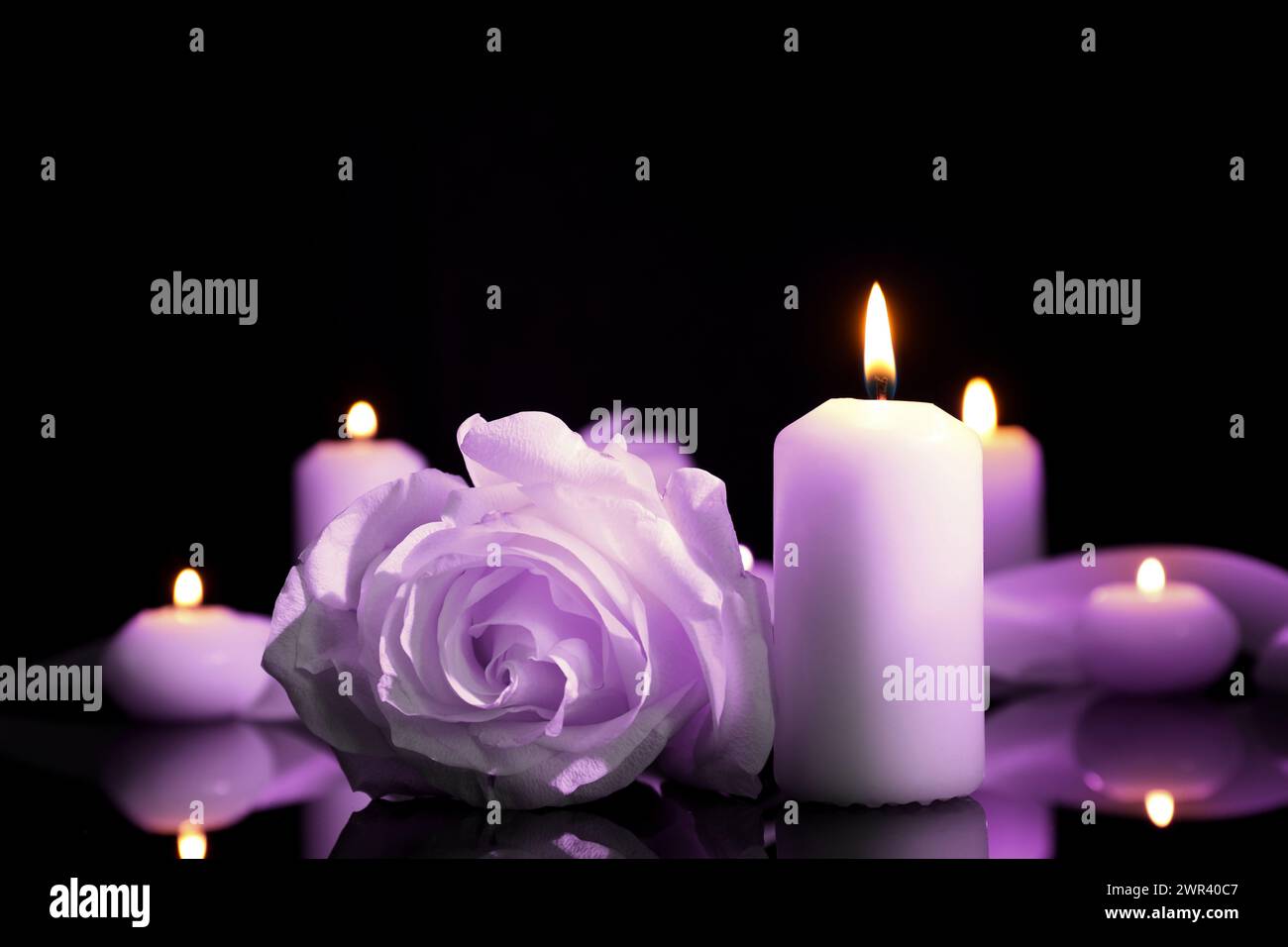 Violette Rose und brennende Kerze auf schwarzer Spiegeloberfläche in Dunkelheit, Nahaufnahme. Beerdigungsattribute Stockfoto