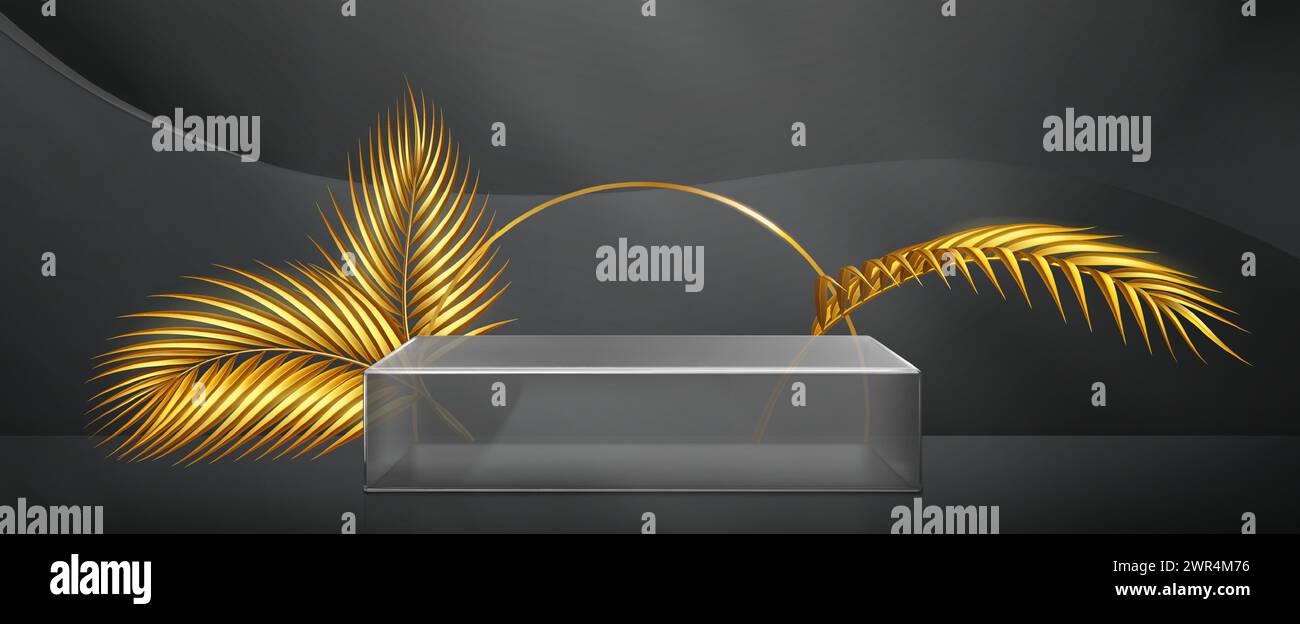 Glasquadrat transparentes Produktpodium mit goldenem Kreis und Palmblättern auf abstraktem schwarzem Hintergrund. Realistische Vektordarstellung eines minimalen rechteckigen Kristall- oder Plexiglas-Plattformmodells. Stock Vektor