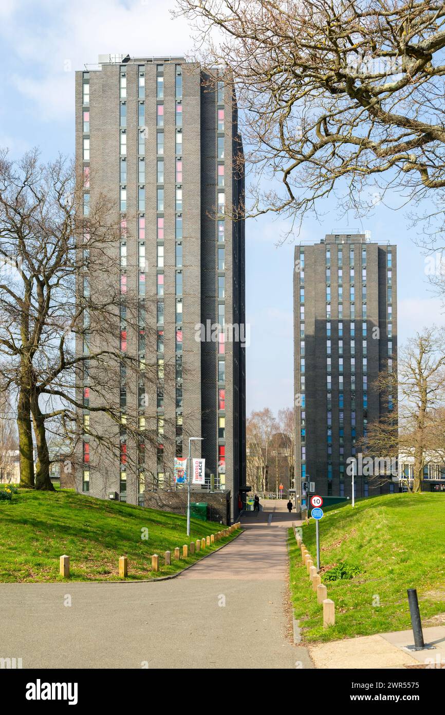 Hochhaus blockiert Studentenunterkünfte, South Towers, University of Essex, Colchester, Essex, England, Großbritannien Stockfoto