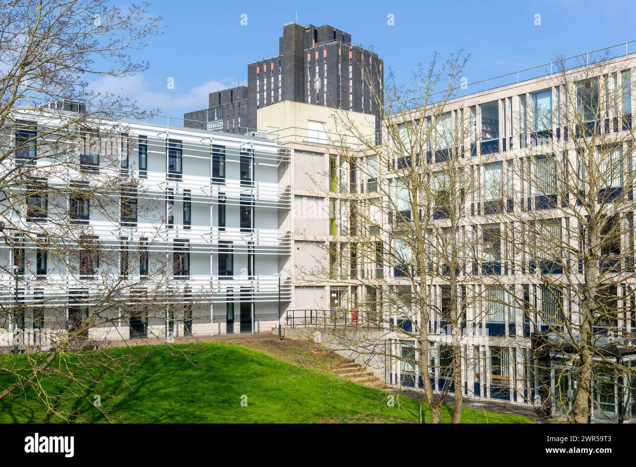 Moderne Architektur auf dem Campus der University of Essex, Colchester, Essex, England, Großbritannien Stockfoto