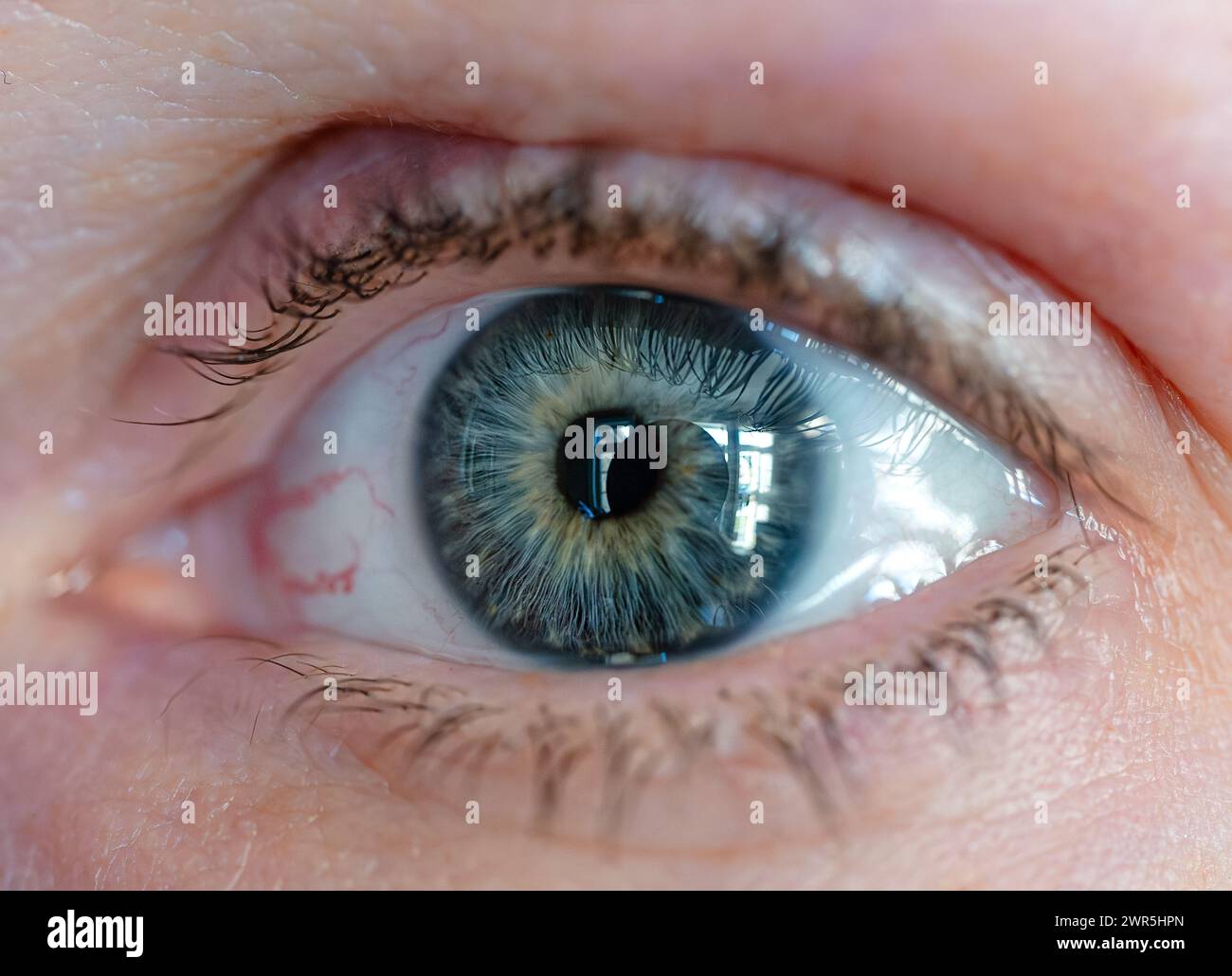 Makronahmebild des blauen Auges einer kaukasierin. Stockfoto