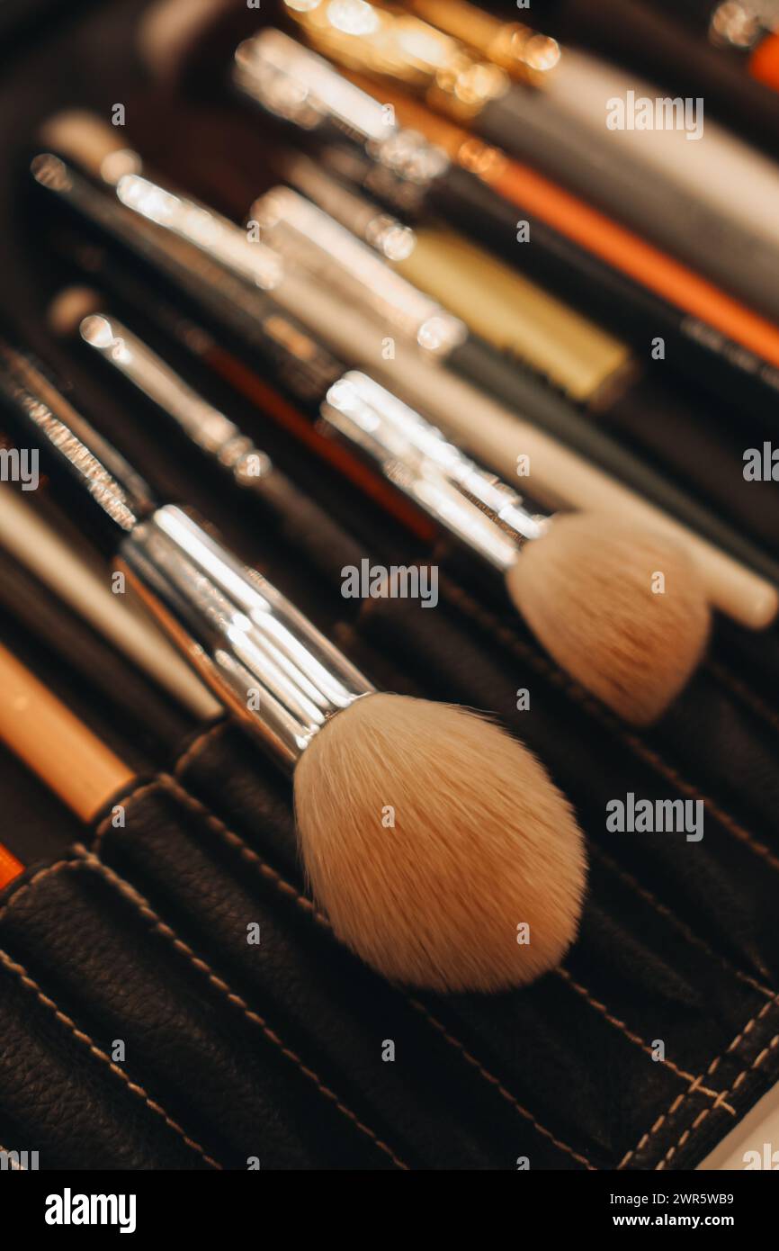 Verschiedene Make-up-Pinsel in einer schwarzen Ledertasche, Accessoires für Make-up-Künstler Stockfoto