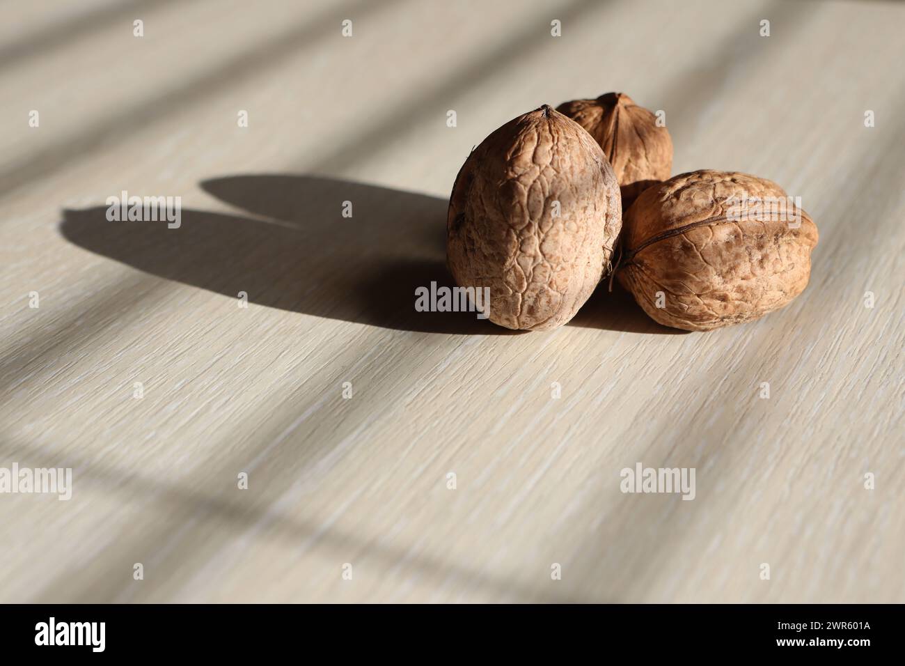 Drei Walnüsse stehen auf einem Leuchttisch in der Nähe eines Fensters im Haus Stockfoto