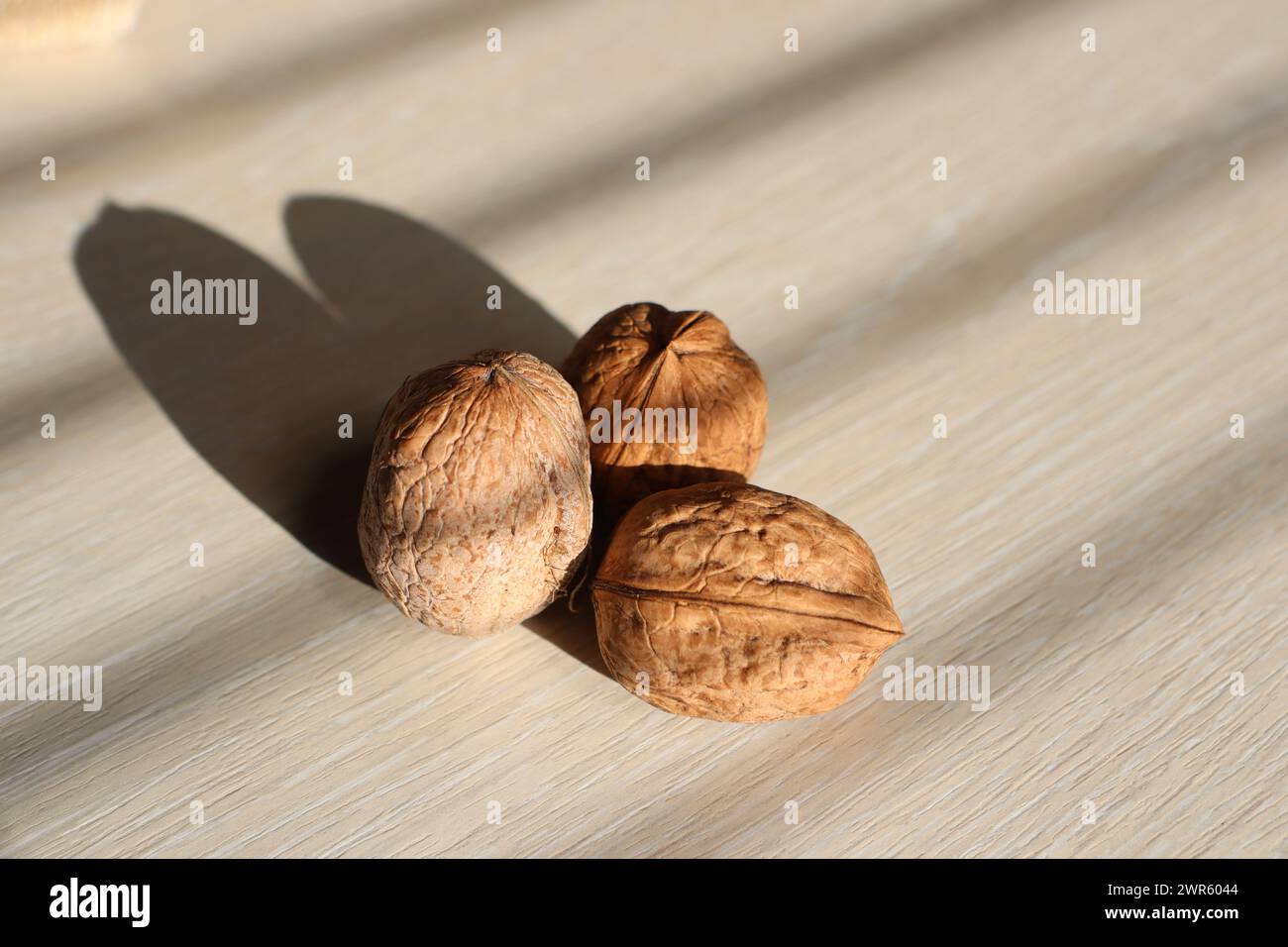 Drei Walnüsse stehen auf einem Leuchttisch in der Nähe eines Fensters im Haus Stockfoto