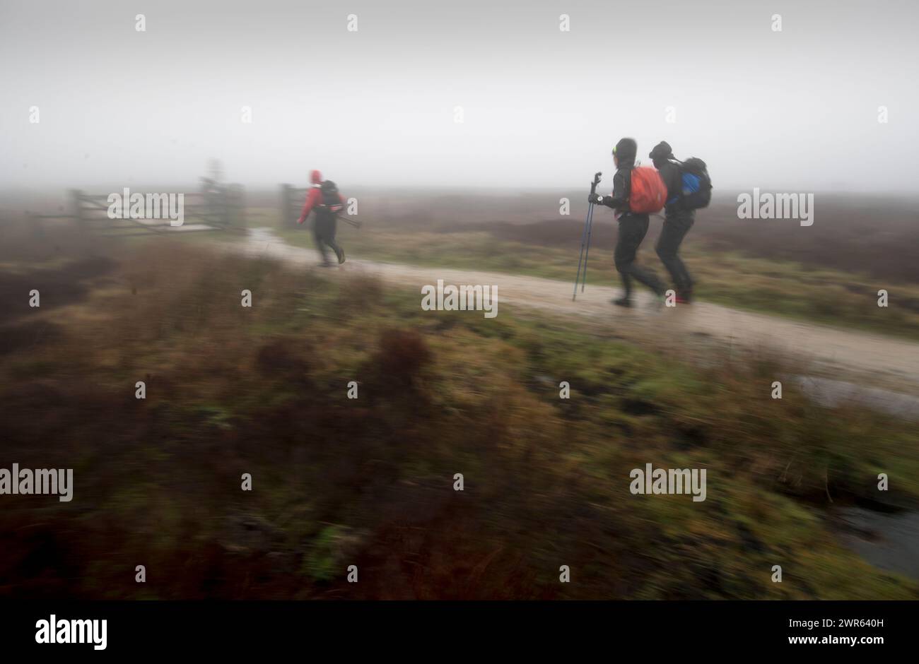 13/01/19 von Regen und Sturm heimgesucht, überqueren die Wettbewerber, die als „Spiners“ bekannt sind, den Derbyshire Peak District bei Glossop. Ein Stockfoto