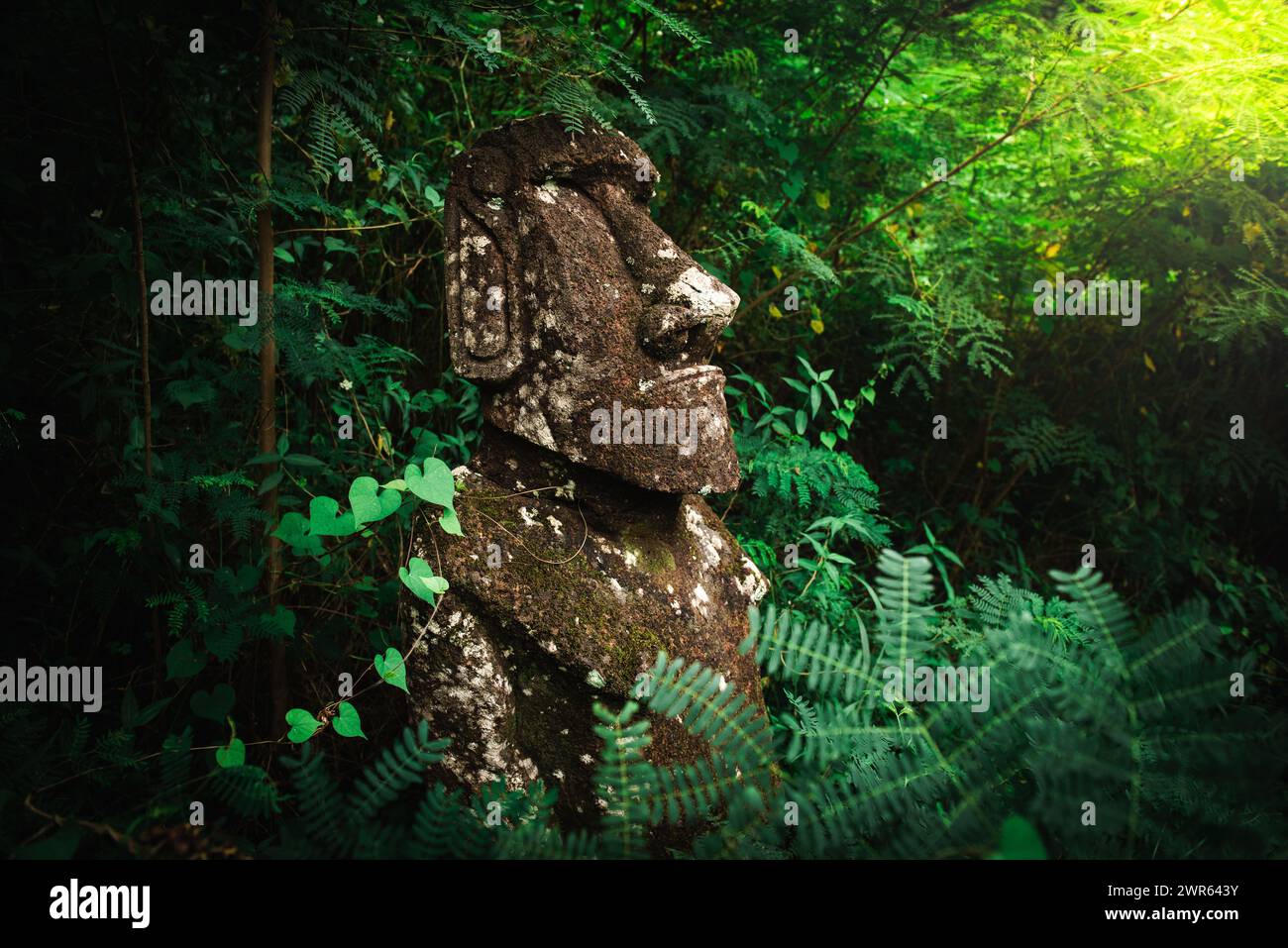 Moai Tiki Carving an der archäologischen Stätte Tohua Koueva, Taiohae, Nuku Hiva Stockfoto