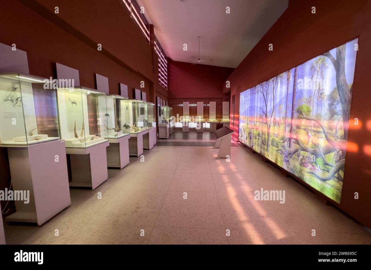 Eine Galerie mit antiken Tier- und zoologischen Exponaten, Nationalmuseum, dar es Salaam, Tansania. Stockfoto