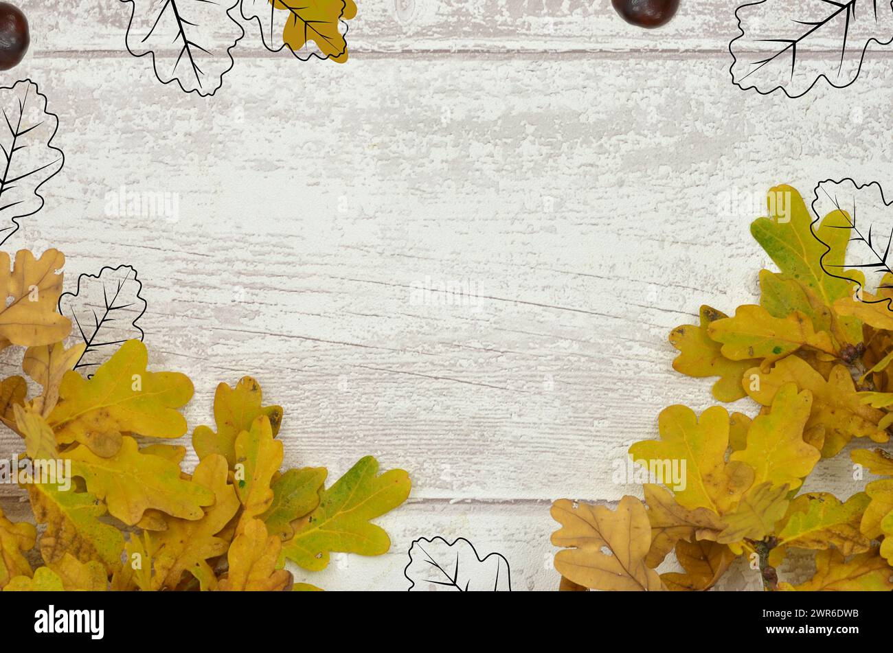 Rahmen mit Herbstlaub mit leerem Platz zum Ausfüllen von Inhalten. Foto mit Blattskizzen gemischt. Stockfoto