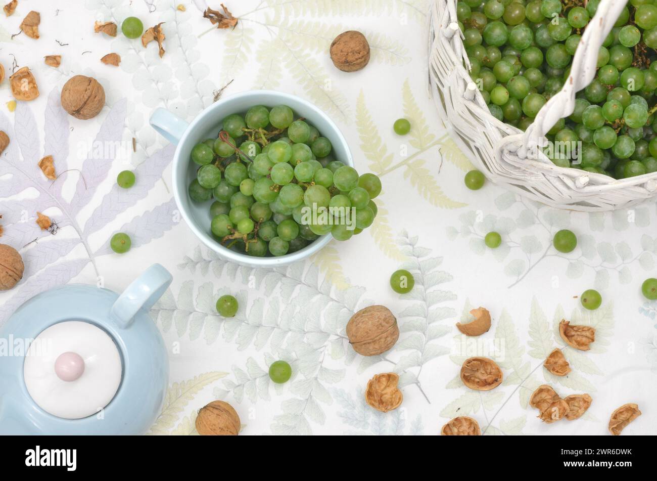 Ernte: Grüne Trauben im Korb und Nüsse auf einem Tisch mit Wasserkocher und Becher. Draufsicht. Stockfoto