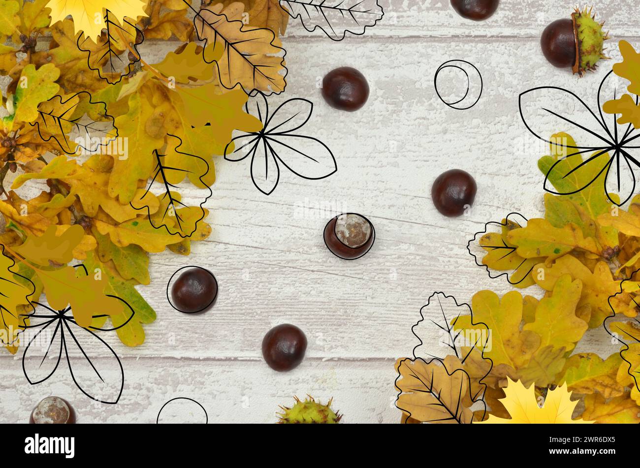 Herbst, Herbst: Gelbe Blätter, Kastanien und Blätter Skizzen auf hellem hölzernem Hintergrund. Stockfoto