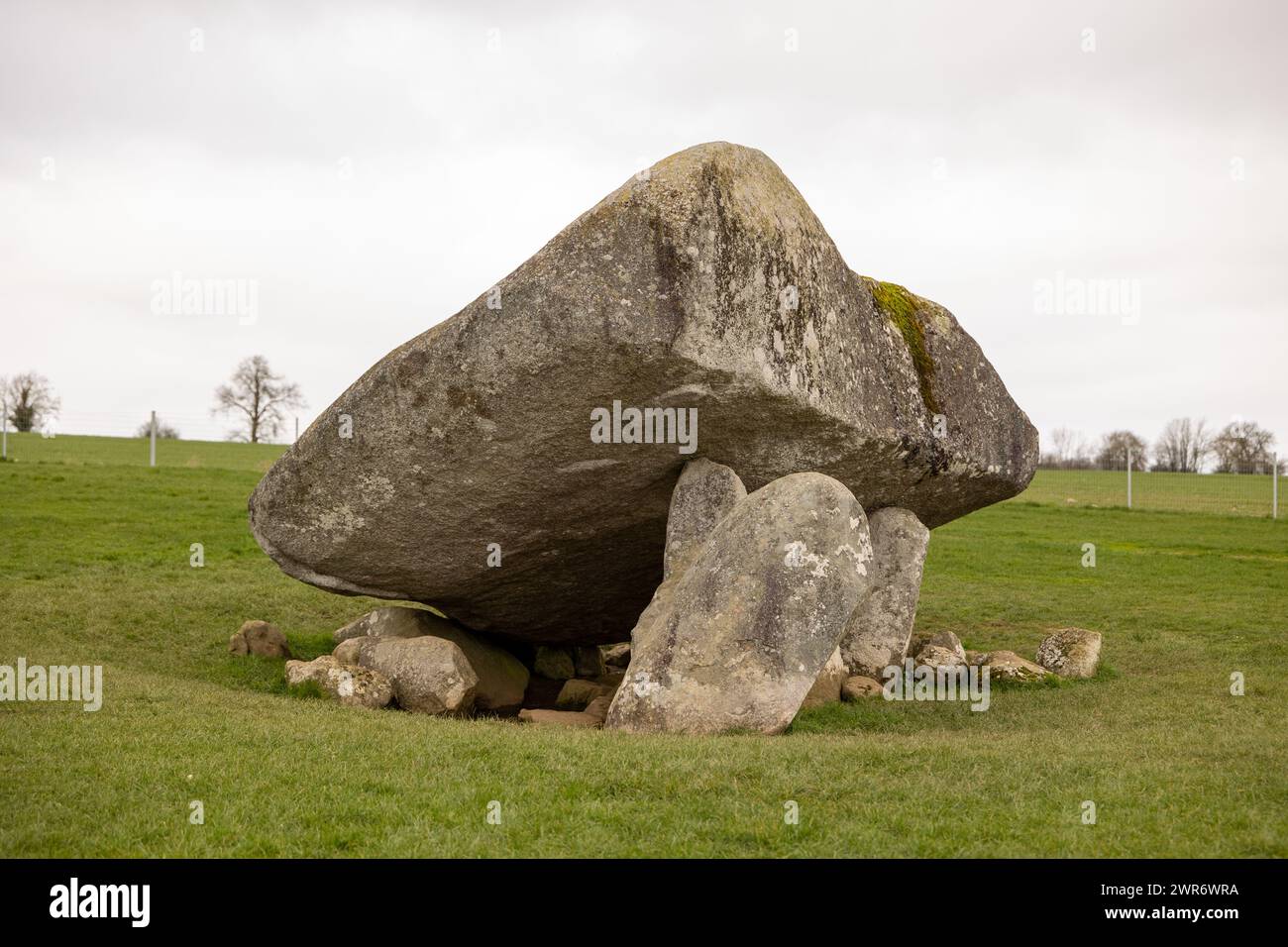 Brownshill Dolmen Portal Tomb, County Carlow, Irland Stockfoto