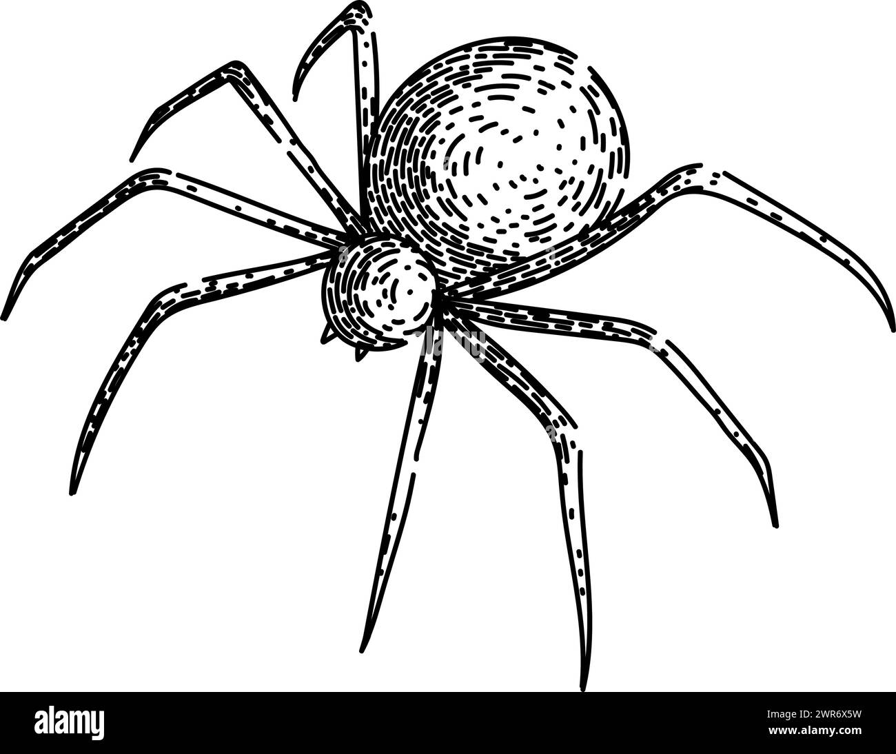 Handgezeichneter Vektor der Spider-Skizze Stock Vektor