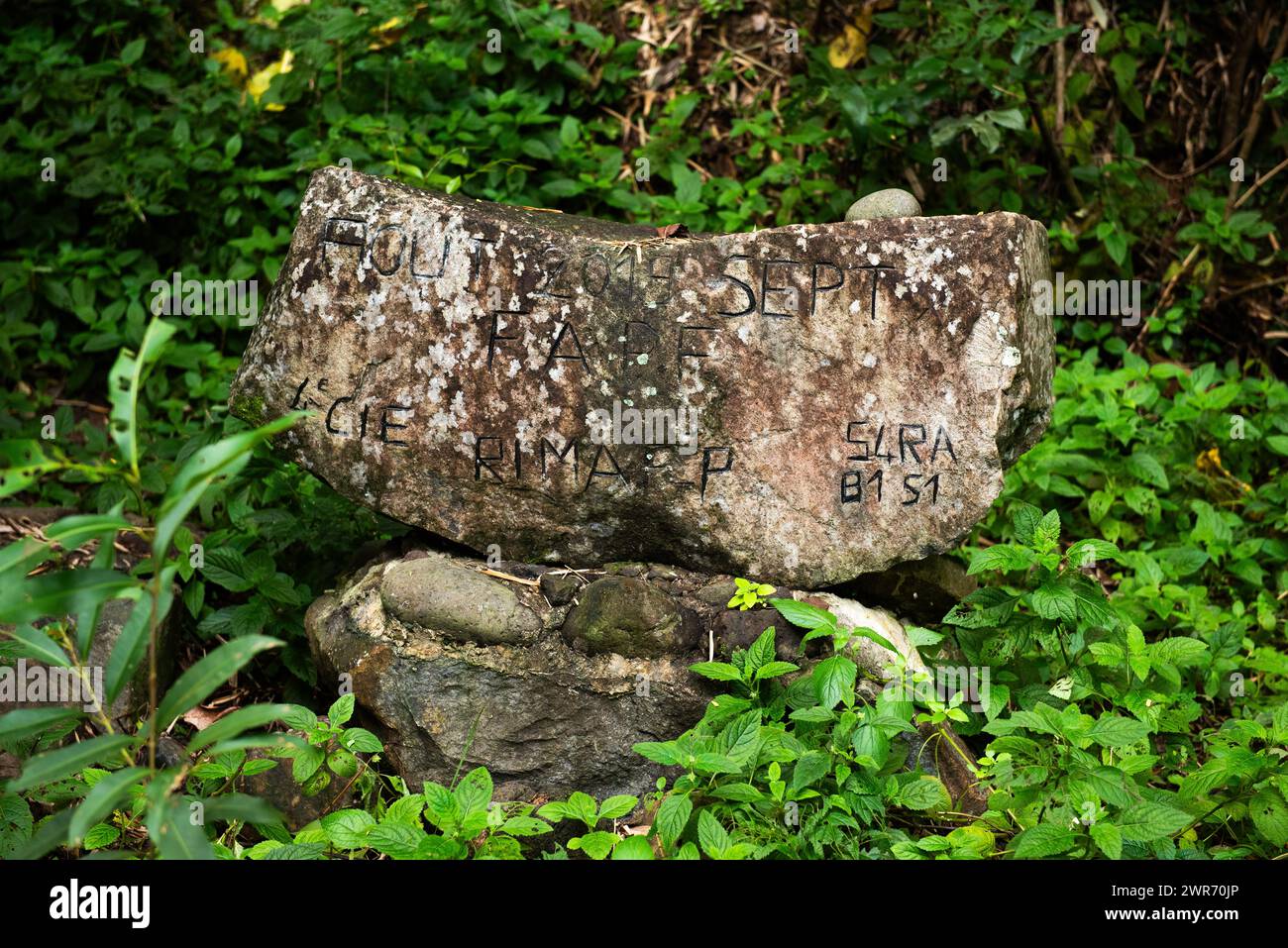 Tiki an der archäologischen Stätte Tohua Koueva, Nuku Hiva Stockfoto