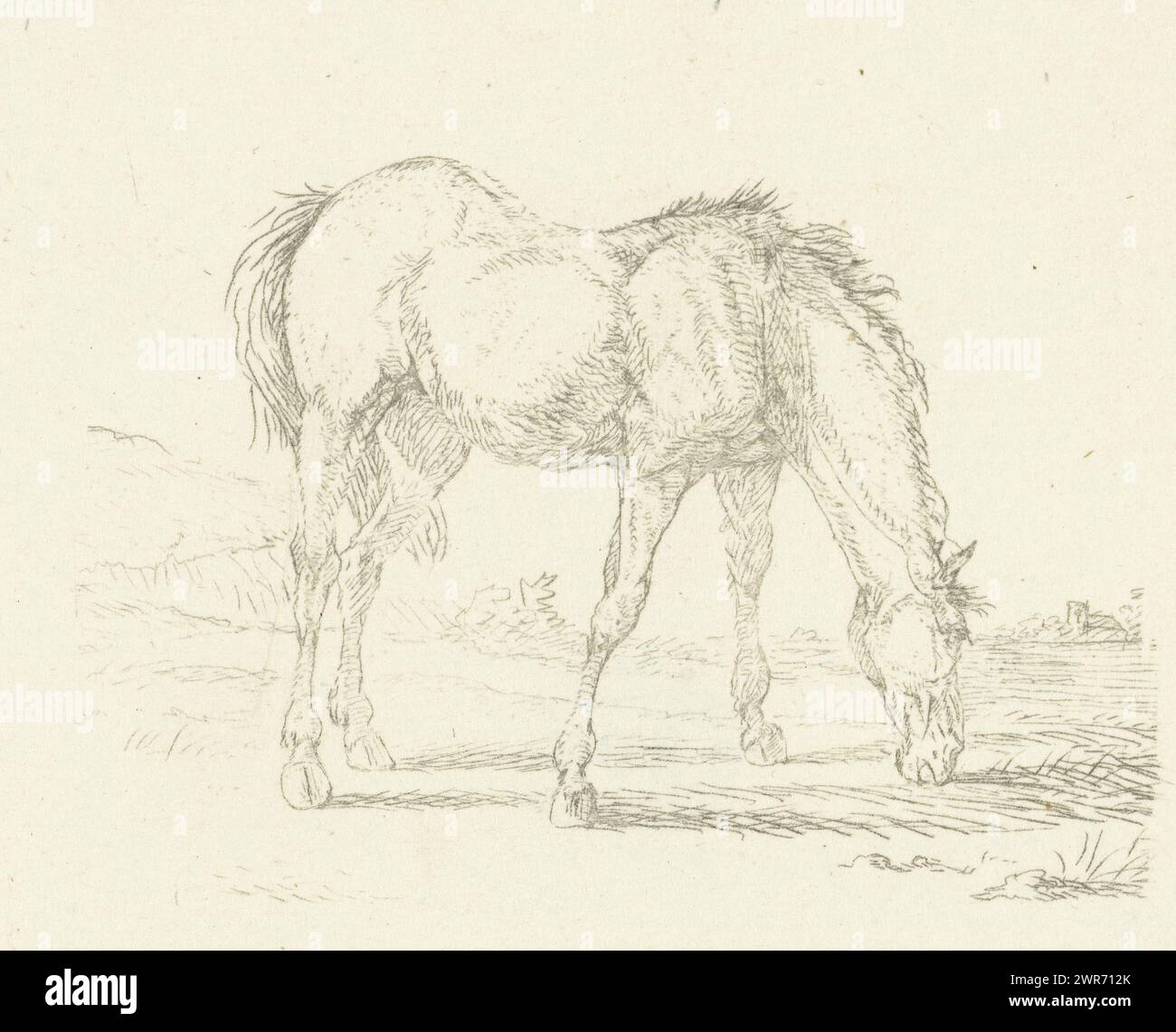 Weidepferd rechts, Druckerei: Jan Dasveldt, Amsterdam, 1780 - 1855, Papier, gegenläufig, Höhe 68 mm x Breite 80 mm, bedruckt Stockfoto