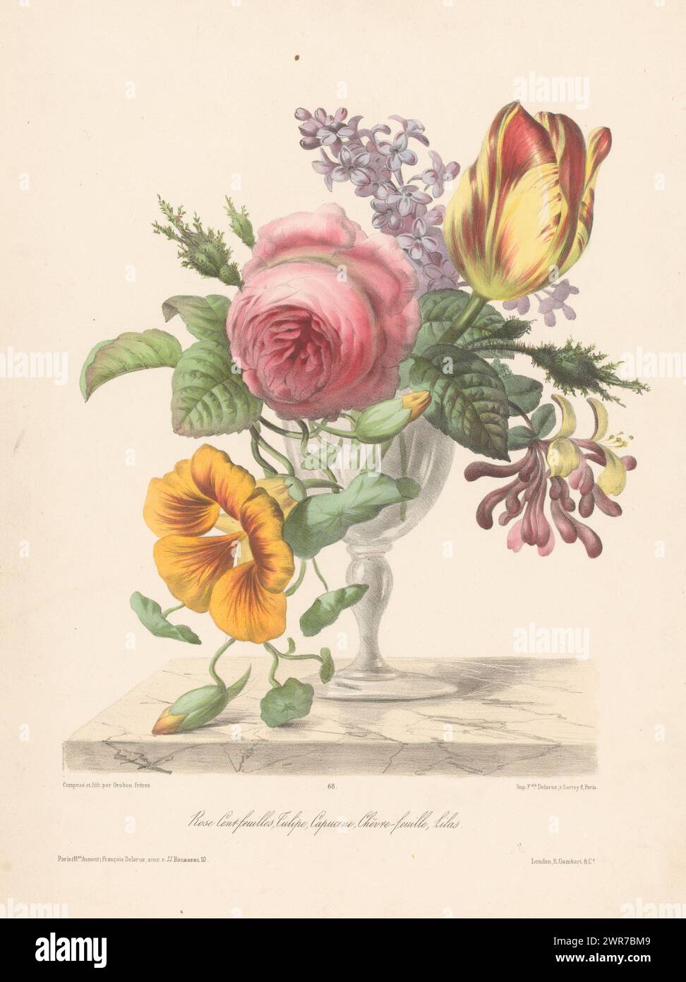 Blumenstrauß im Glas, Rose Cent-Feuilles, Tulipe, Capucine, Chêvre-Feuille, Lilas (Titel zum Objekt), Druckerei: Francois Frédéric Grobon, nach eigenem Entwurf von: Francois Frédéric Grobon, Drucker: Francois Delarue, Druckerei: Lyon, nach eigenem Entwurf von: Lyon, Drucker: Paris, Verlag: Paris, Verlag: London, ca. 1851 - c. 1854, Papier, Höhe 355 mm x Breite 272 mm, Druck Stockfoto