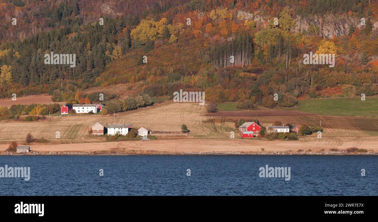 Norwegische Landschaft mit Holzhäusern und Scheunen an der Küste Stockfoto