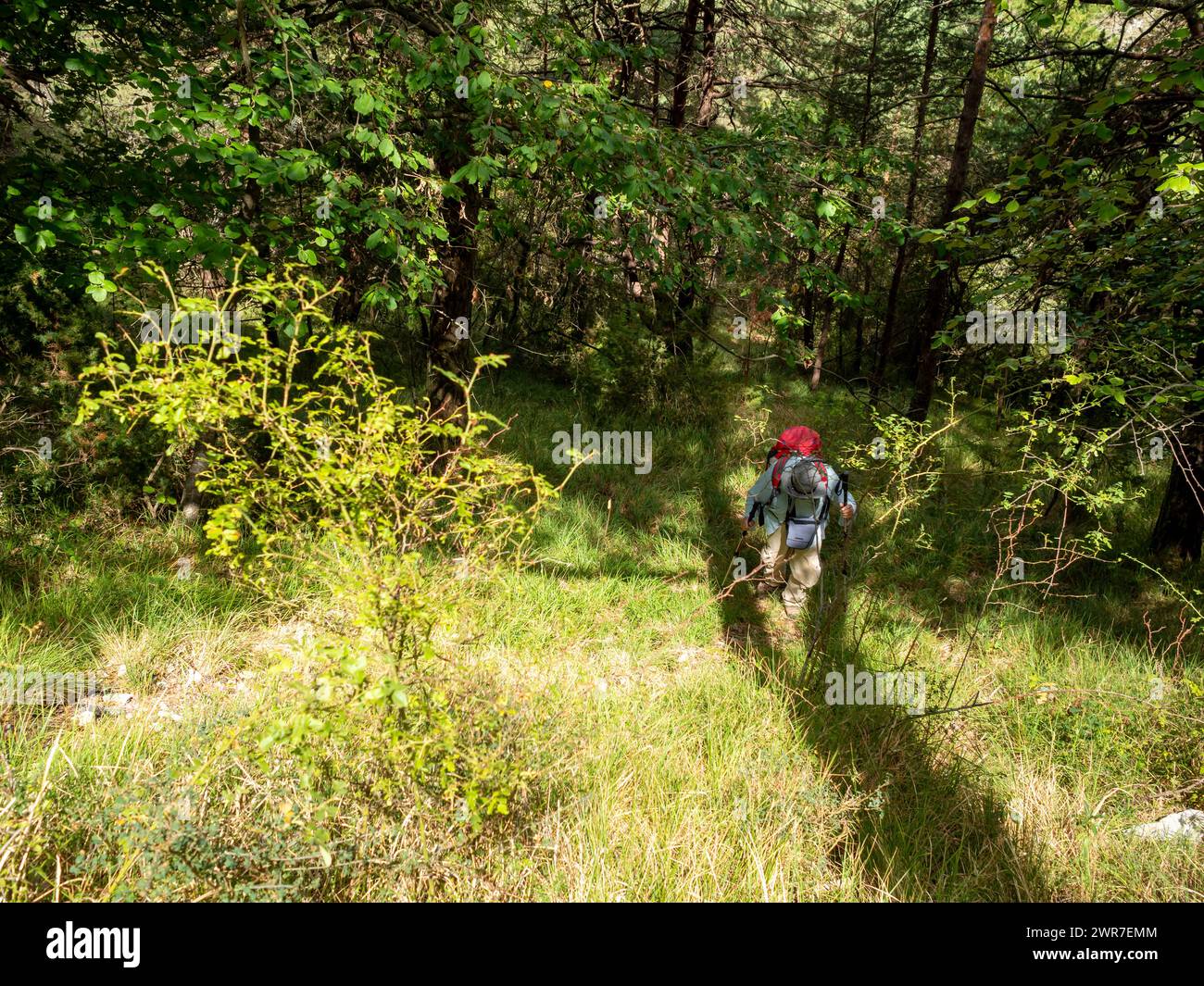 Mann wandert auf dem Hügel in den südlichen Alpen in Frankreich Stockfoto