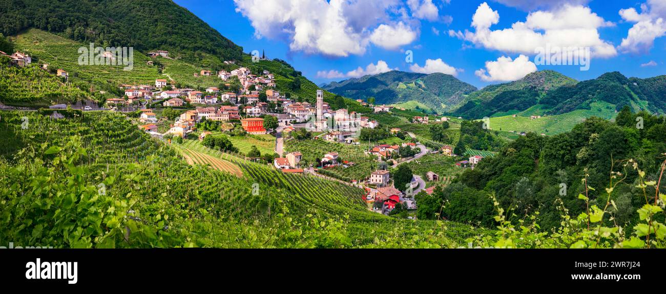 Berühmte Weinregion in Treviso, Italien. Valdobbiadene Hügel und Weinberge an der berühmten Prosecco-Weinstraße Stockfoto