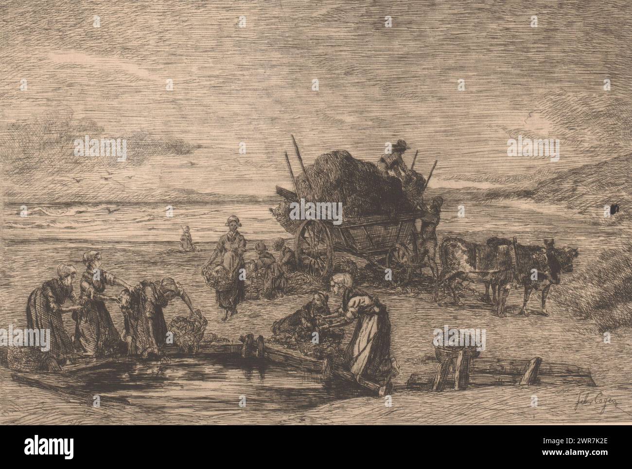 Man sammelt Algen an der Dünenküste, Druckerei: Félix Cogen, 1875, Papier, Ätzen, Höhe 215 mm x Breite 311 mm, Druck Stockfoto