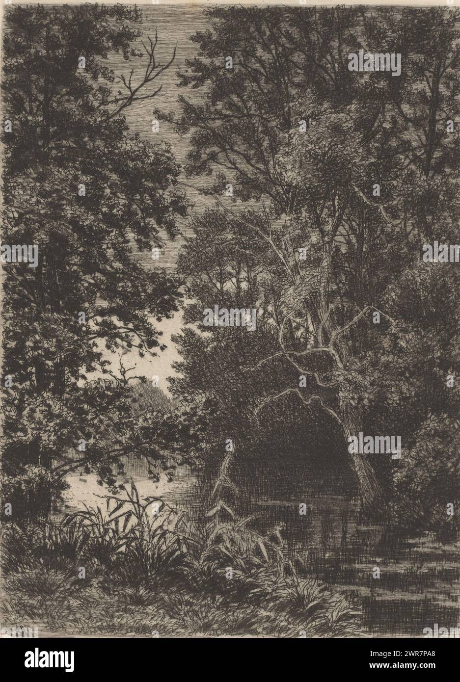 Aufforstung um einen See, Druckerei: Alfred Elsen, 1860 - 1910, Papier, Ätzen, Höhe 210 mm x Breite 156 mm, Druck Stockfoto