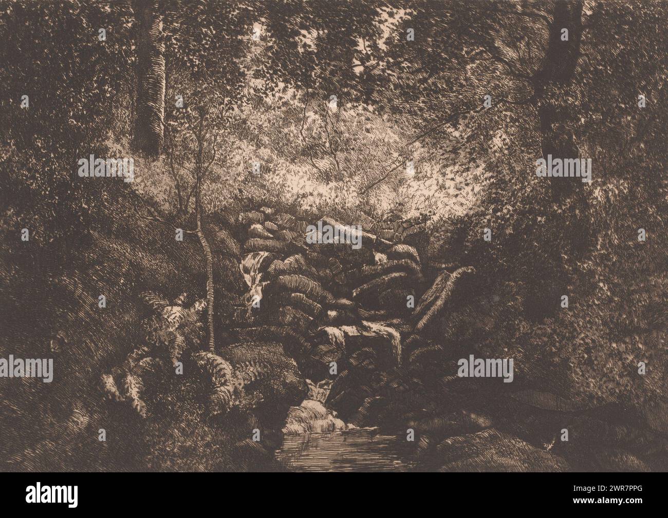 Quelle eines Baches im Wald, Druckerei: Jules Guiette, 1862 - 1901, Papier, Ätzen, Trockenspitzen, Höhe 241 mm x Breite 316 mm, bedruckt Stockfoto