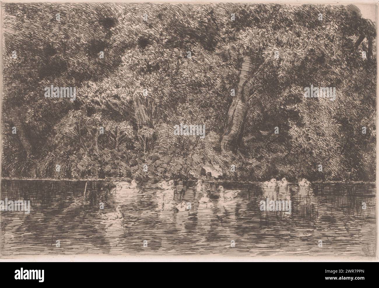 Teich mit Enten, Druckerei: Jules Guiette, 1862 - 1901, Papier, Ätzen, Trockenspitze, Höhe 215 mm x Breite 315 mm, bedruckt Stockfoto