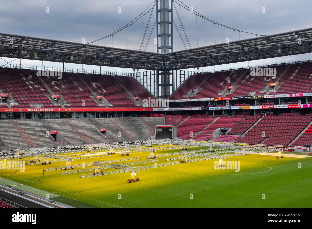 Das RheinEnergie Stadion ist eines der Stadien der Fußball-Europameisterschaft 2024. Das Stadionfeld wird mit künstlicher Beleuchtung gepflegt Stockfoto