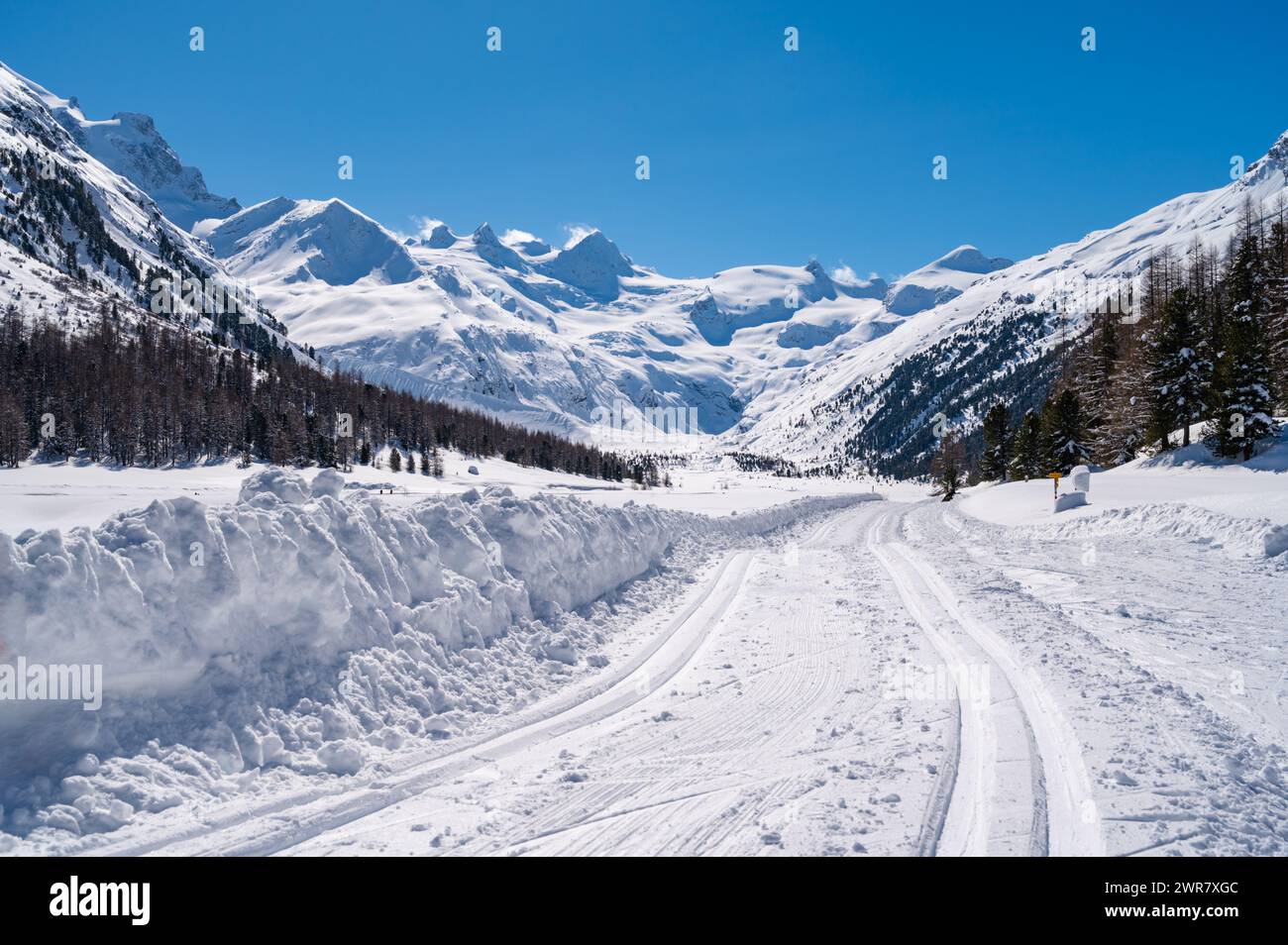 Val Roseg, im Engadin, Schweiz, im Winter mit schneebedeckten Langlaufloipen. Stockfoto