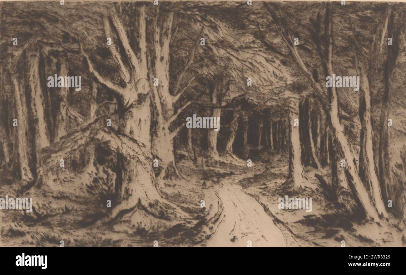 Waldrand mit Waldweg, Entrée de forêt (Originaltitel), Druckerei: Carel Nicolaas Storm van 's-Gravesande, (signiert vom Künstler), 1880 - 1884, Papier, Trockenspitze, Höhe 344 mm x Breite 538 mm, bedruckt Stockfoto