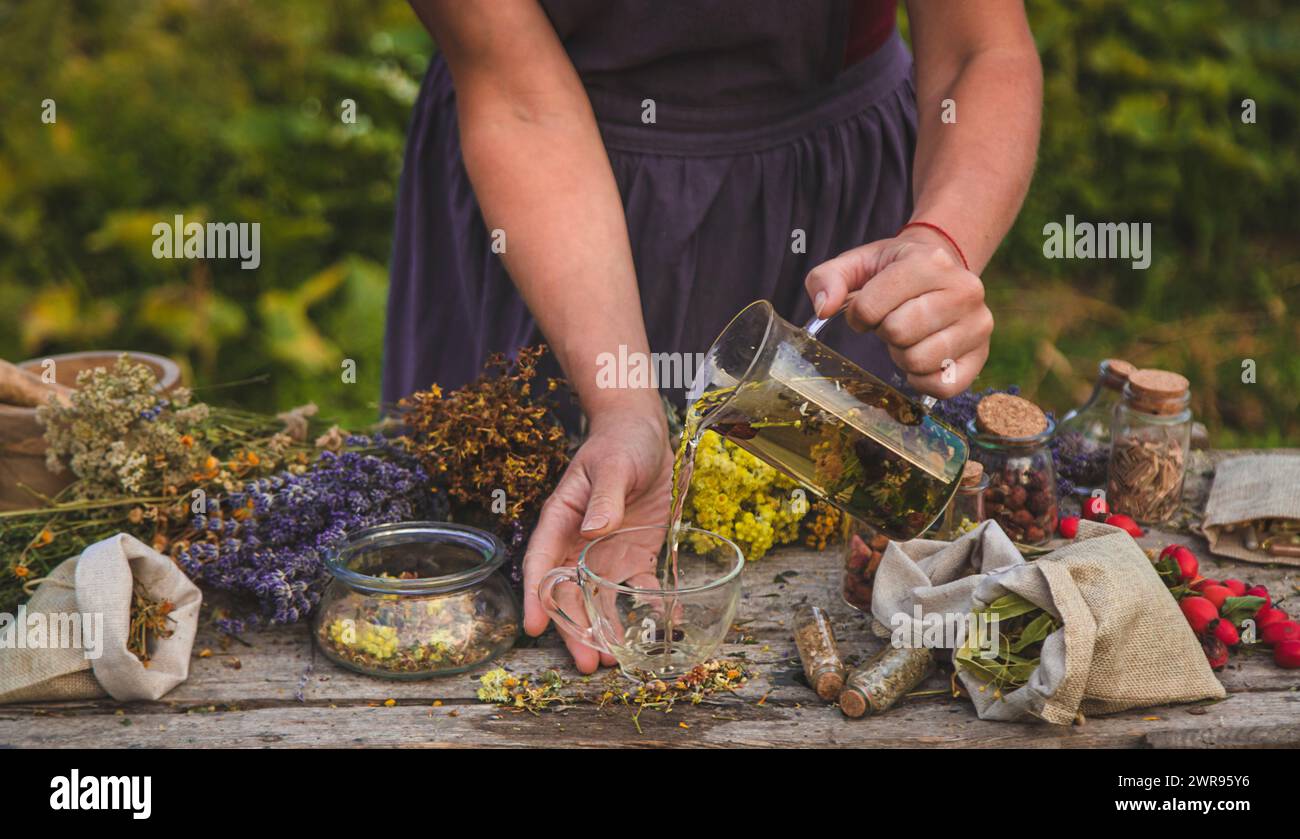 Die Frau bereitet Kräutertee zu. Selektiver Fokus. Natur. Stockfoto