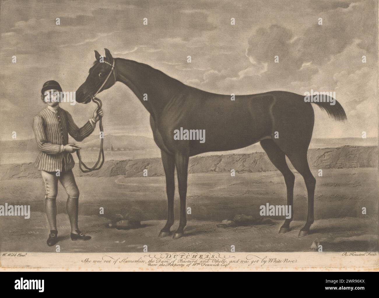 Rennpferd mit Jockey, Dutchess, Text in englischer Sprache am unteren Rand., Druckerei: Richard Houston, nach Malerei von: W. Webb, 1731 - 1775, Papier, Ätzung, Höhe 254 mm x Breite 357 mm, Druck Stockfoto