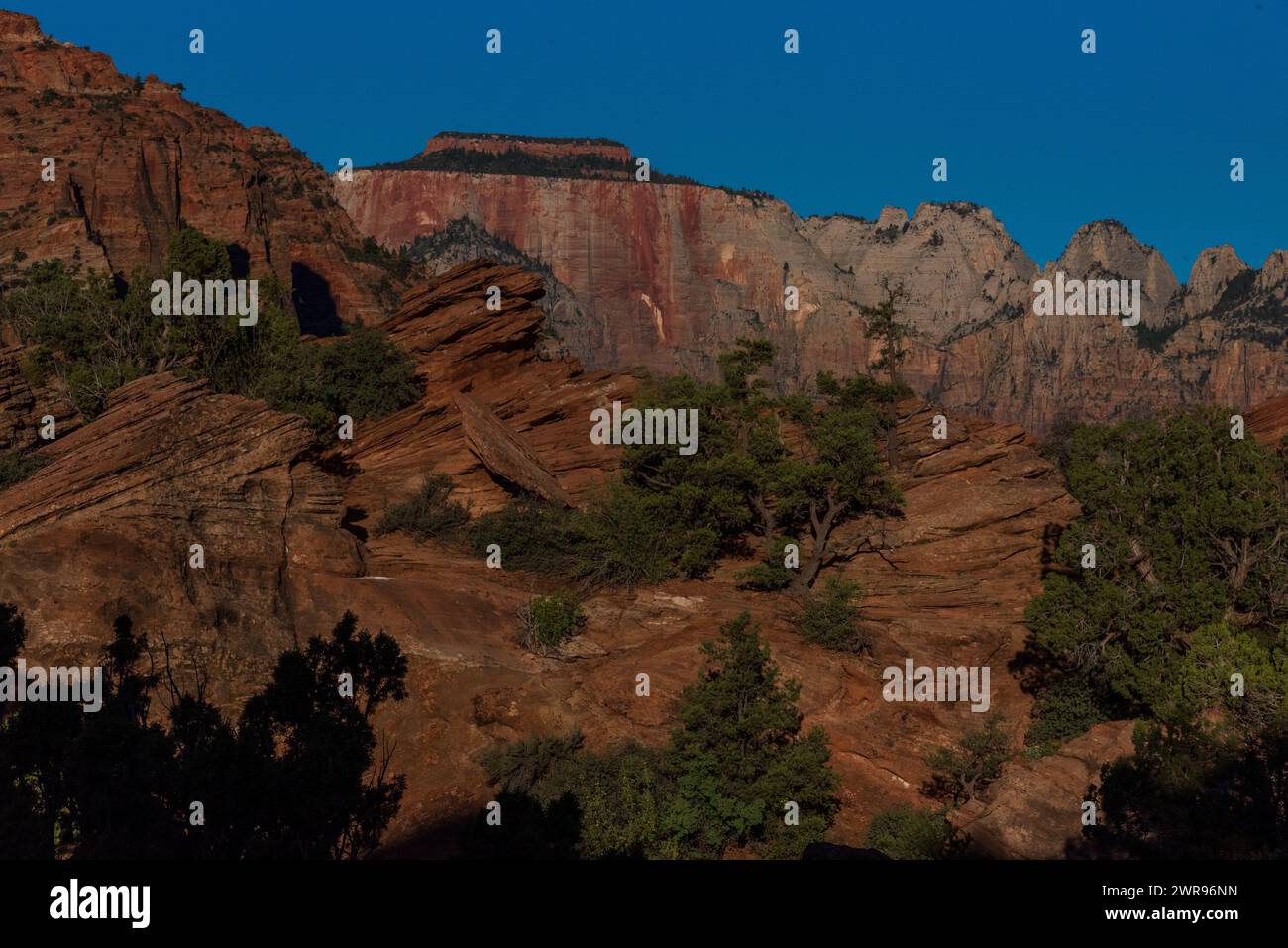 Blick am frühen Morgen auf den Zion Canyon Overlook Trail, Zion National Park, Utah, USA. Stockfoto