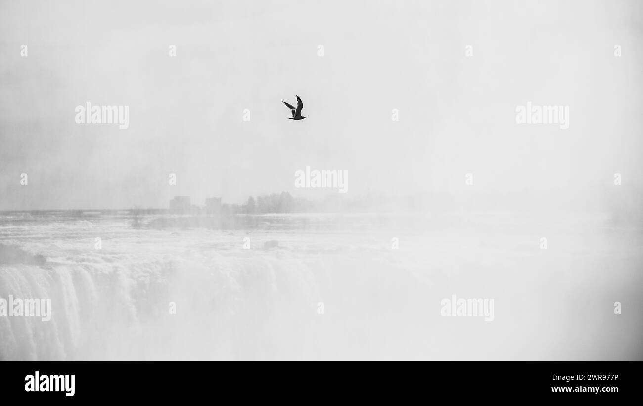 Niagarafälle, Kanada - 8. März 2024: Panoramablick auf die Niagarafälle in Kanada Stockfoto