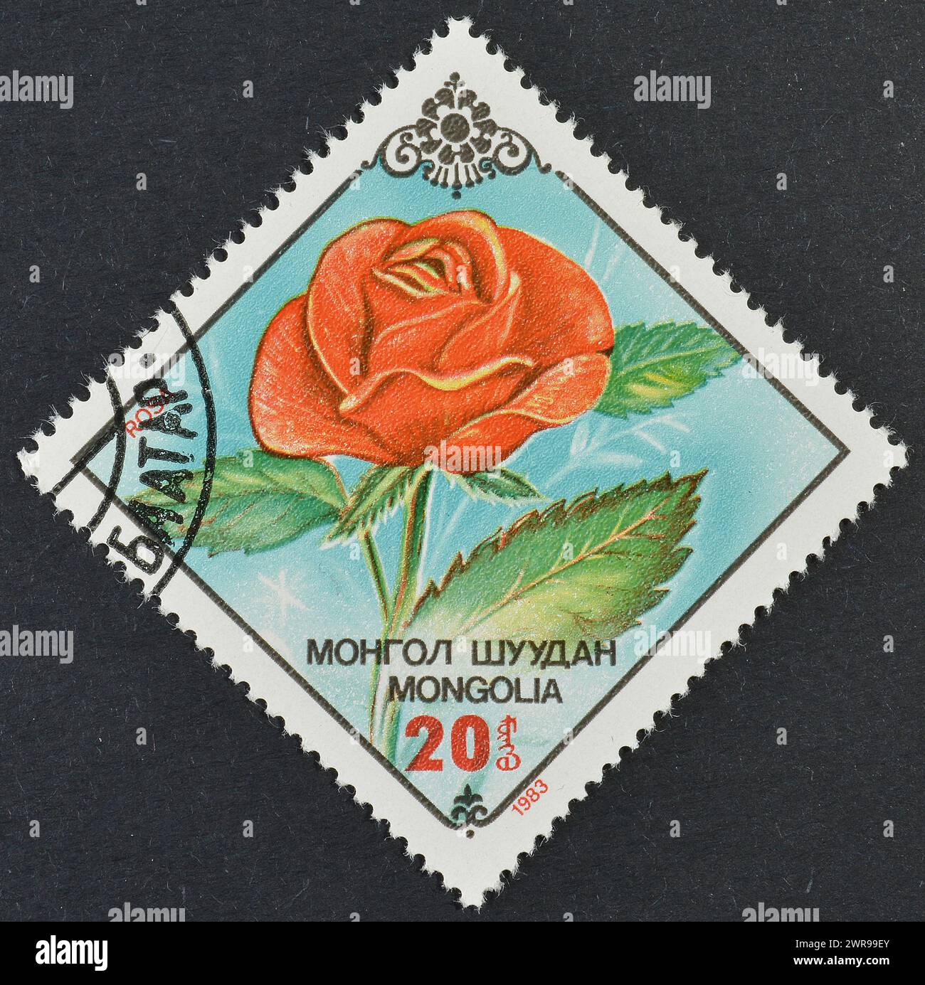 Gestempelte Briefmarke, gedruckt von der Mongolei, die Rose zeigt, um 1983. Stockfoto
