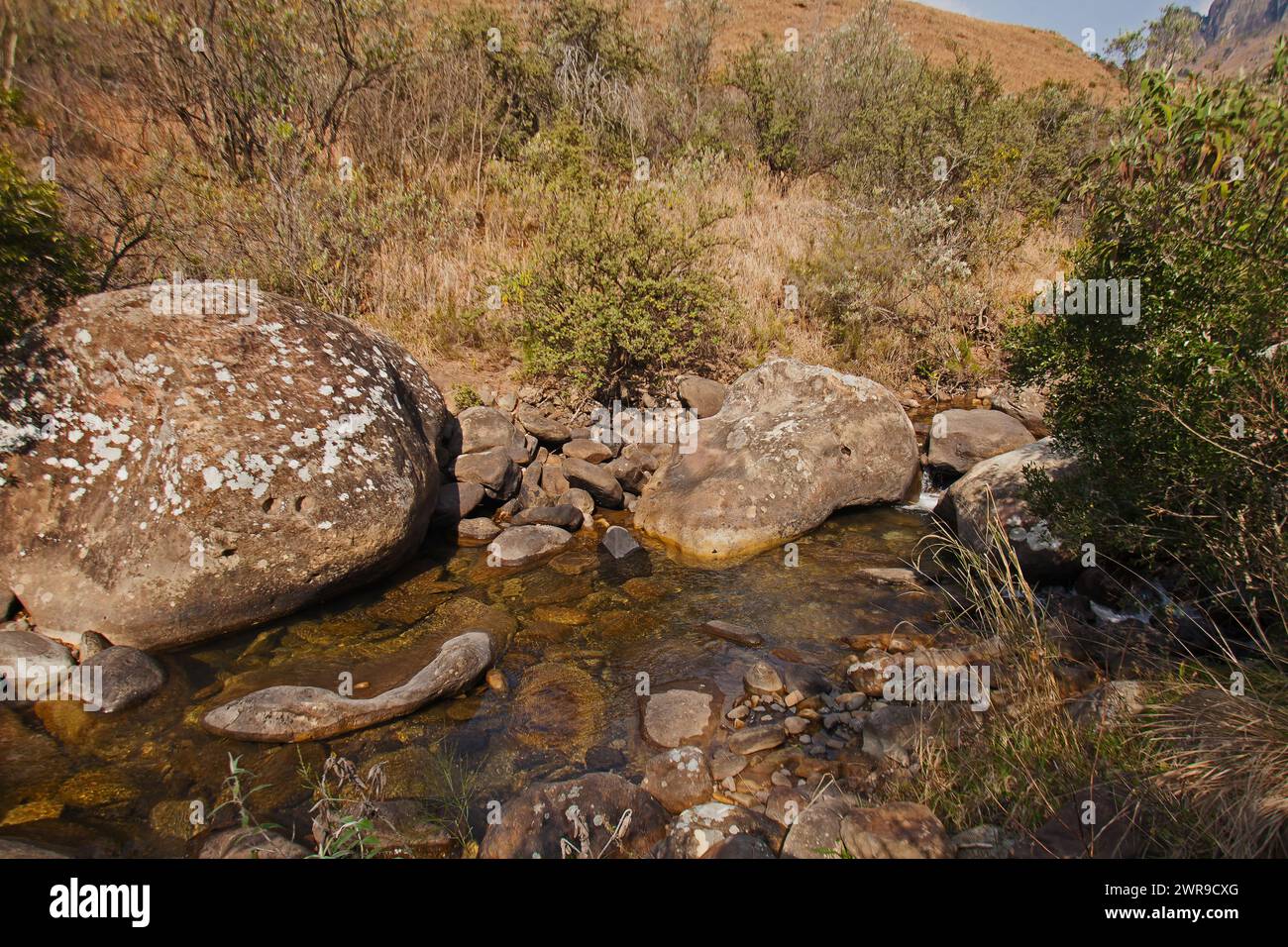 Drakensberg Mountain Stream 15639 Stockfoto