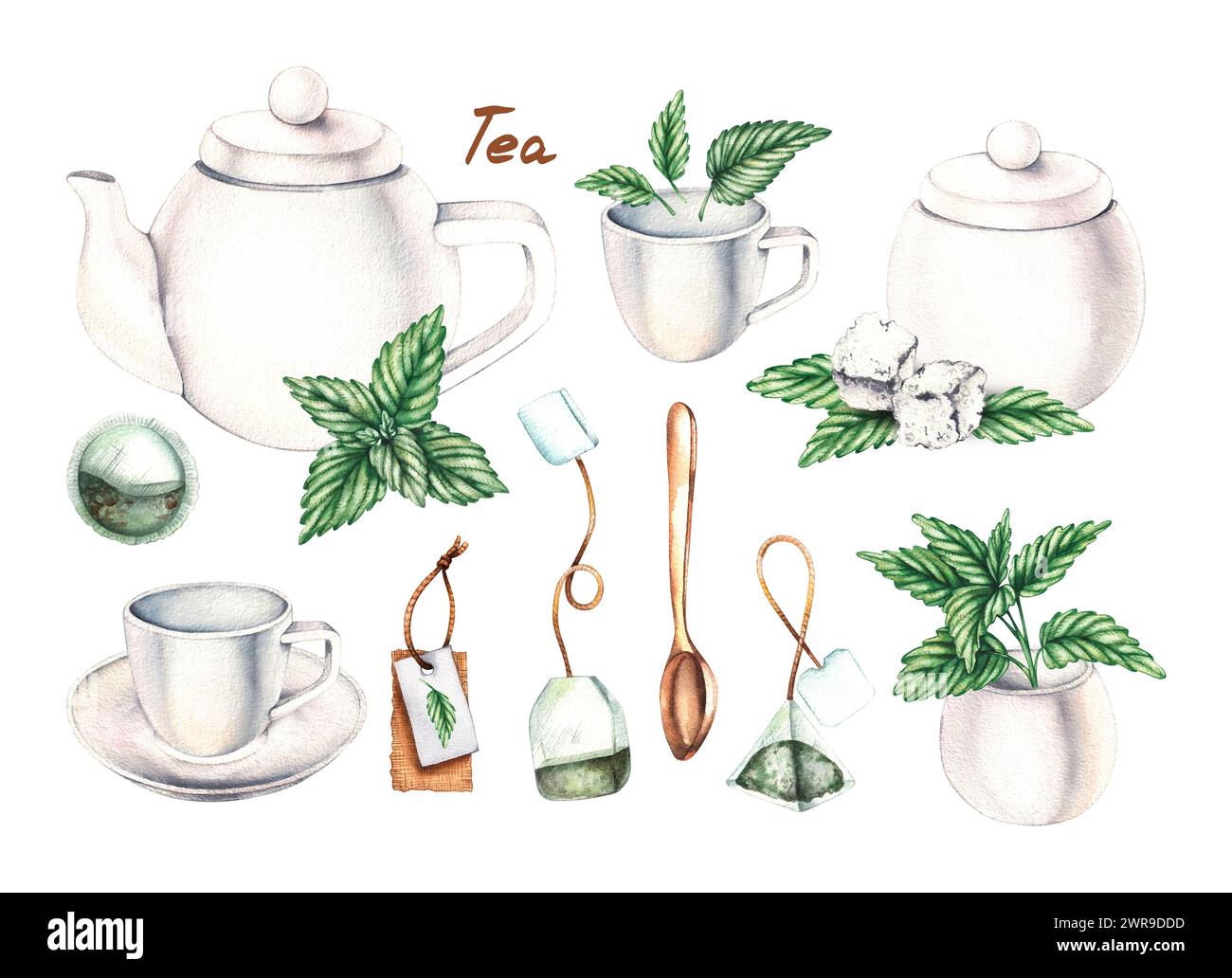 Weißes Teeset mit Wasserfarben, Teebeutel, Zucker und Minze isoliert auf weiß. Tee-Set für die Gestaltung von Verpackungen, Etiketten, Lebensmitteln usw. Stockfoto